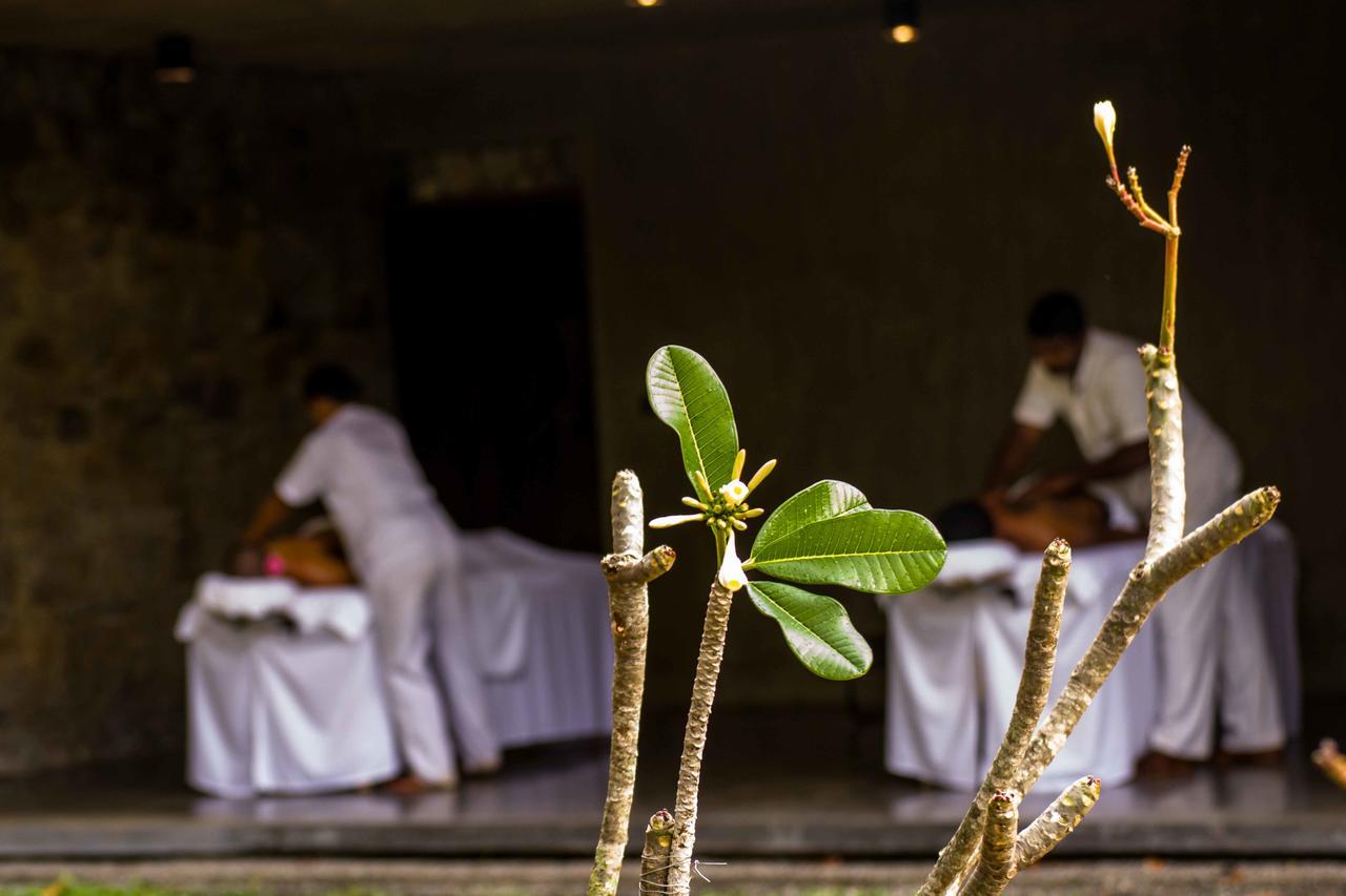 Santani Wellness Kandy Eksteriør bilde